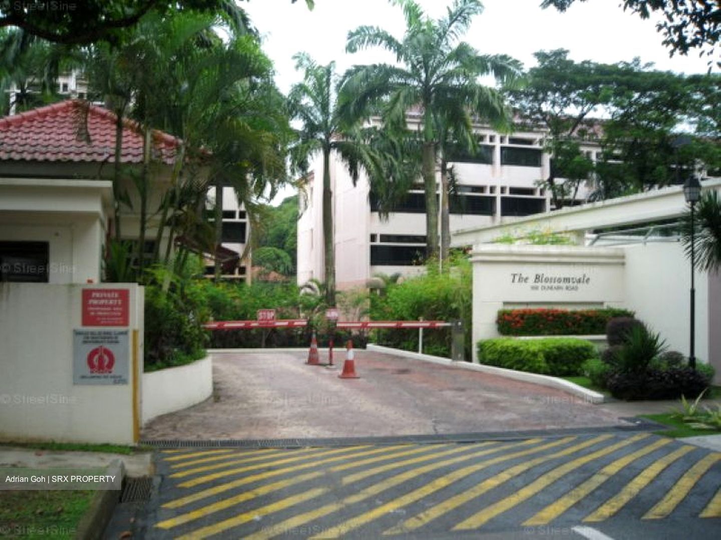 The Blossomvale (D21), Condominium #502103051